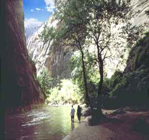 Zion Narrows