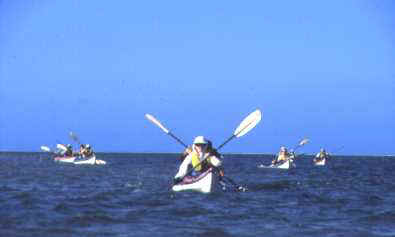 Paddlers