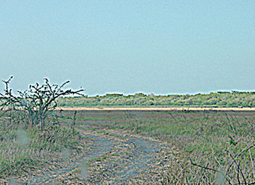 West Lagoon 1 in Belize