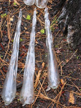 Sleeping Lady Icicle icicles