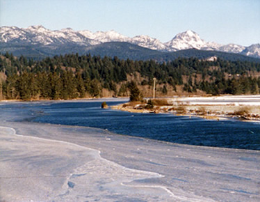 Snowfall Along Nestucca River