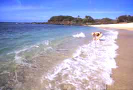 Molokai beach