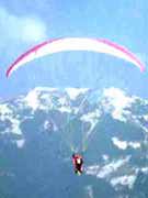 Paraglider