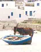 Ornos beach scene