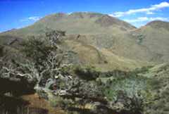 Pueblo Mountain