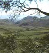 Pueblo Mountains