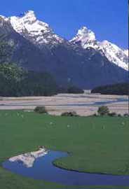 Dart River & Alps