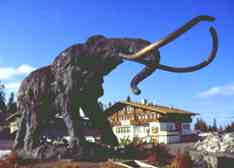 Mammoth Mountain