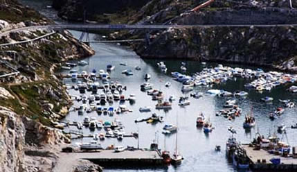 Pleasure and fishing boats