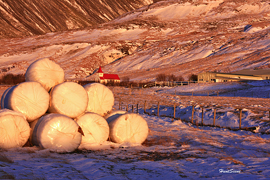 Iceland hay bales