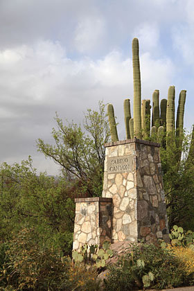 Sabino Canyon