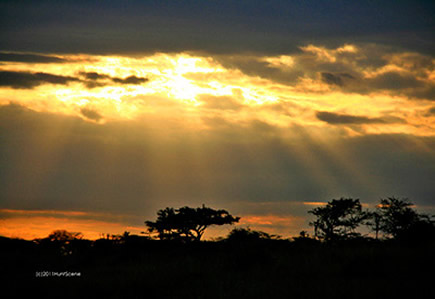 Tanzania sunset