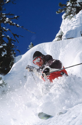 Skier in powder snow