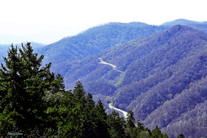 Newfound Gap Road