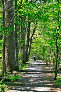 SMNP trail