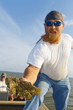 Oyster fisherman