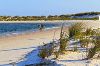 Crooked Island beach