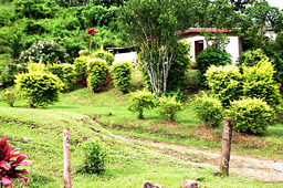 Fiji-Naihehe Sigatoka Valley Village