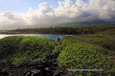 Black sand beach