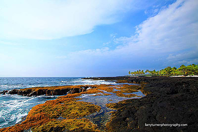 City of Refuge tidepools