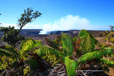 Volcano National Park