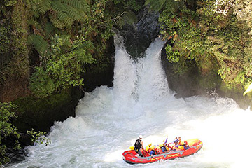 New Zealand River Rats Reflecting on Tutea Falls