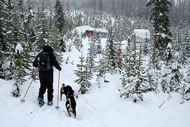 Rossland BC cross country skiing