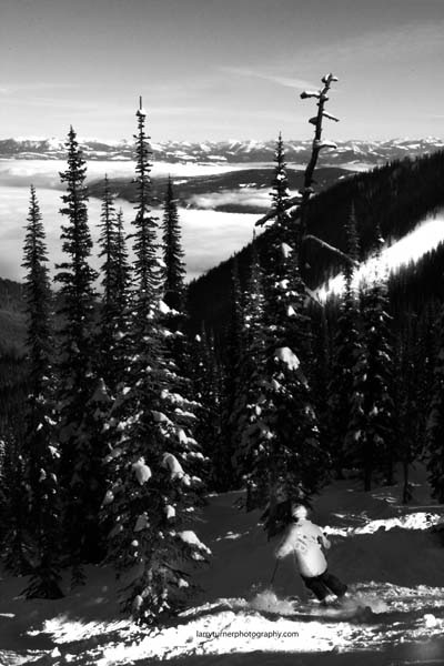 Red Mountain tree skiing