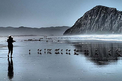 CA Morro Rock