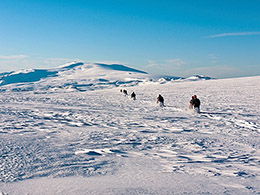 Iceland snowmobiling