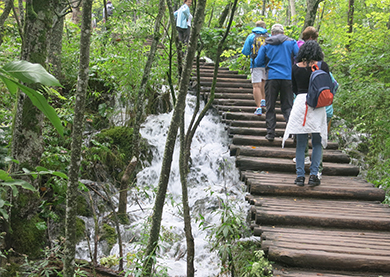 Croatia, boarwalk along stream