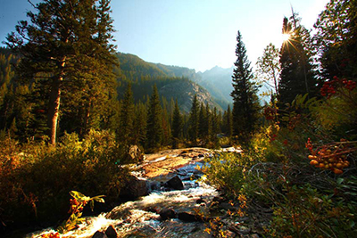 Jackson Hole creek