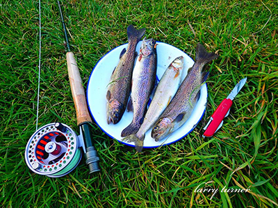 Teton Valley fly fishing plate of fish