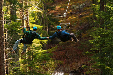 Whistler zipline