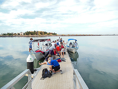 Boat loading at La Paz dock