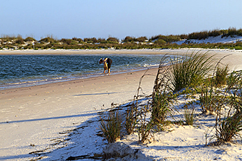 Crooked Island Beach