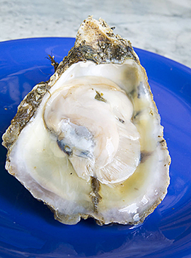 Raw oyster