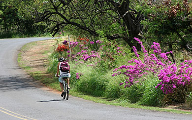 Makaha Valley