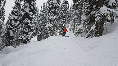 Skiing untracked powder