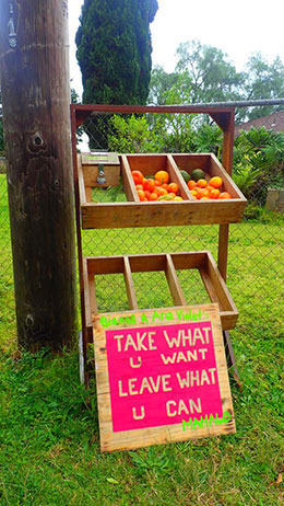 Maui honor system fruit stand