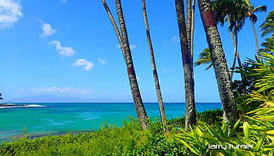 Maui Napili Kai view