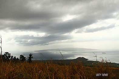 Maui upcountry view