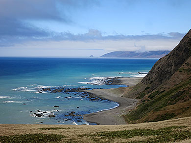 Looking north on the Lost Coast