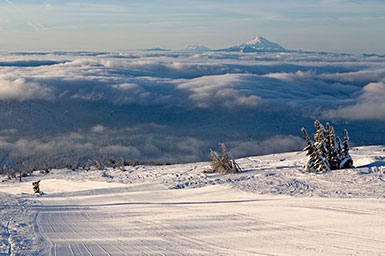 Mt. Hood Meadows cruiser