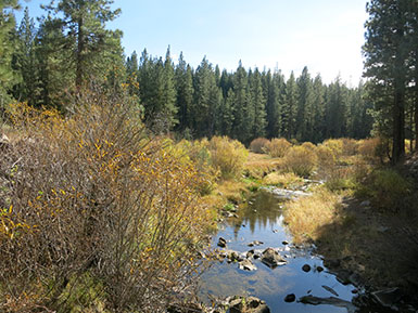 Bizz Johnson Trail creek