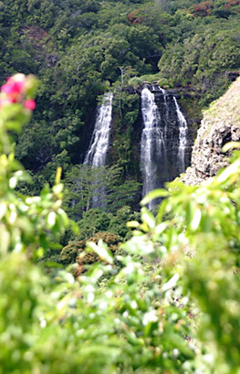 Opaekaa Falls