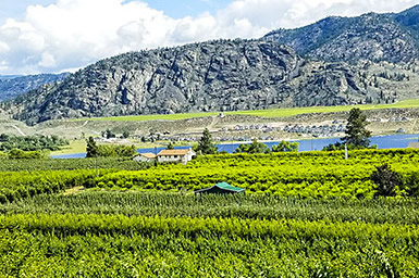 Okanagan farmlands