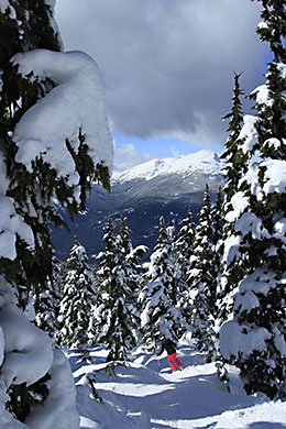 Whistler-Blackcomb’s 50th anniversary skiing