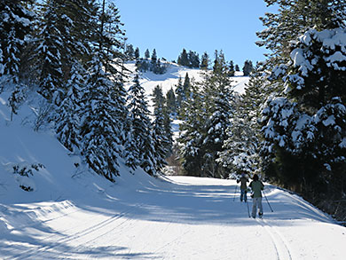 Bogus Basin x/c skiers