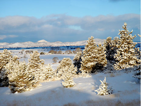 Amtrak winter view